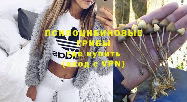 дмт Тобольск