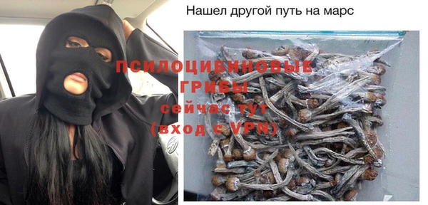 дмт Тобольск