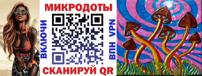 Купить закладки  Поворино  Псилоцибиновые грибы Magic Shrooms 